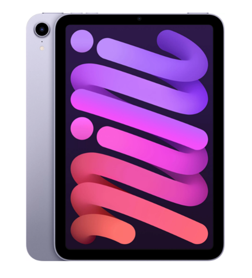 Планшет iPad mini (2021) Wi-Fi 256GB, Purple, фиолетовый (MK7X3) - фото 20904