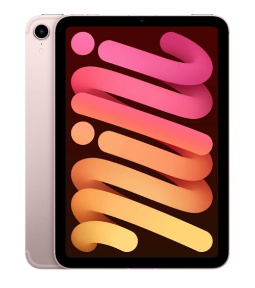 Планшет iPad mini (2021) Wi-Fi + Cellular 64GB, Pink, розовый (MLX43) - фото 20906