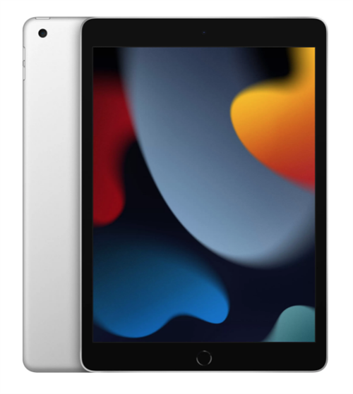 Планшет iPad 10,2" (2021) Wi-Fi 256GB, Silver, серебристый (MK2P3) - фото 20915