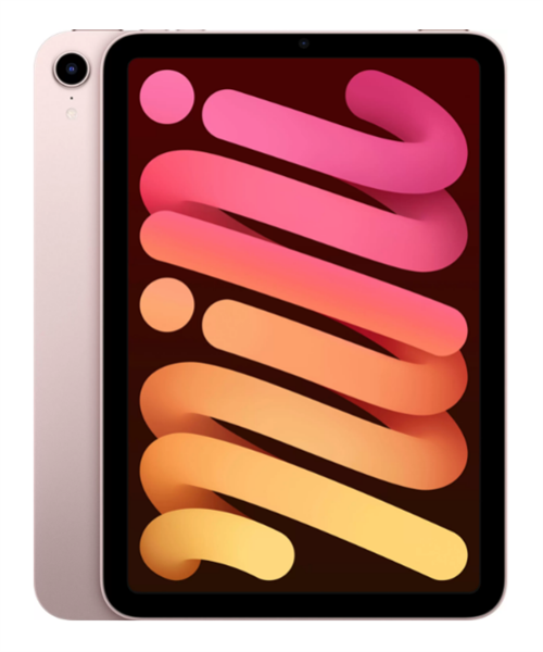 Планшет iPad mini (2021) Wi-Fi 256GB, Pink, розовый (MLWR3) - фото 20916