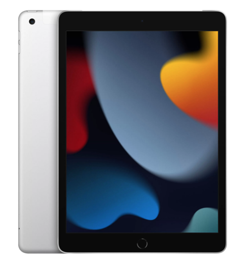 Планшет iPad 10,2" (2021) Wi-Fi + Cellular 256GB, Silver, серебристый (MK4H3) - фото 20919