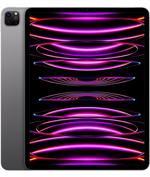 iPad Pro (2022) 12.9" M2 Wi-Fi 256Gb Space Gray, тёмно-серый (MNXR3) - фото 74981