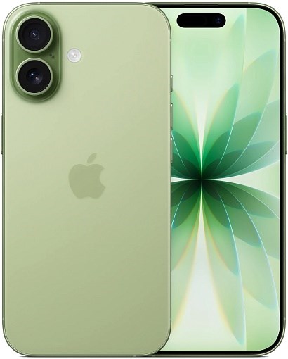 iPhone 17 256Gb Sage, зеленый (MG6N4) (Без RuStore) MG6N4 - фото 79500