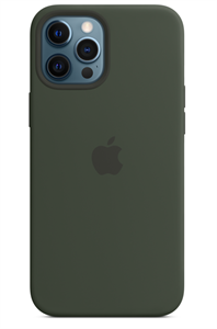 Чехол Silicone Case MAGSAFE с анимацией для iPhone 12/12 Pro, зеленый лес (OR)