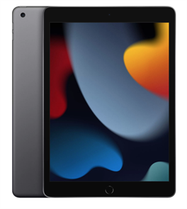 Планшет iPad 10,2" (2021) Wi-Fi 256GB, Space Gray, серый космос (MK2N3) MK2N3