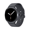 Умные часы Samsung Galaxy Watch 8 40mm LTE Graphite with Graphite Sport Band P-46961364 - фото 88843